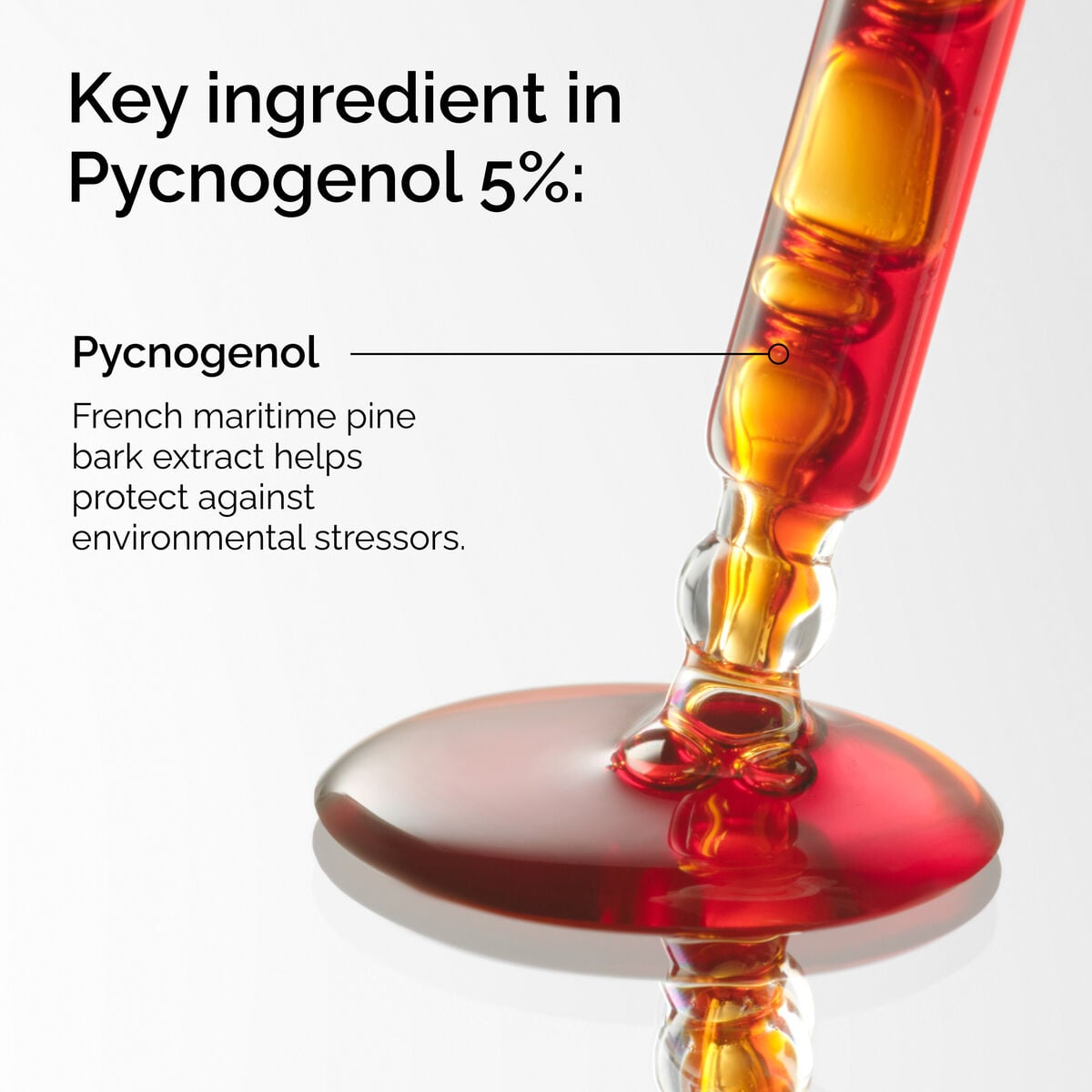 pycnogenol-5-q9 FY25-D41247-ORD-Web-PDP-Pyc-5pct-1x1-EN-2a.jpg