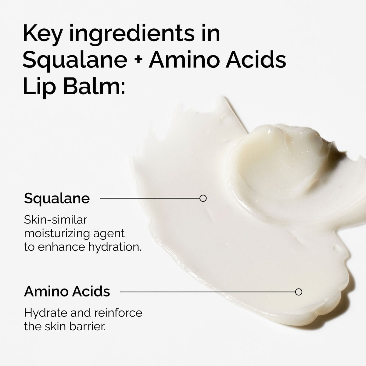 squalane-amino-acids-lip-balm-h6 FY25-D41247-ORD-Web-PDP-Sql-Amino-Lip-1x1-EN-2a.jpg