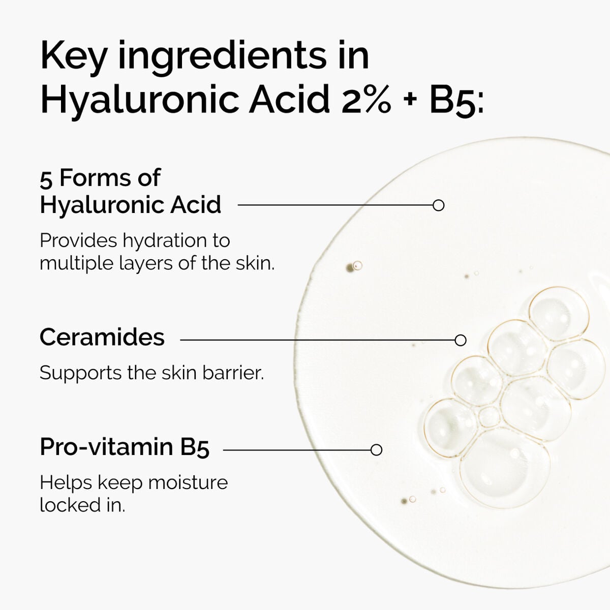hyaluronic-acid-2-b5-with-ceramides-v1 ord-hyaluronic-acid-2pct-b5-hydrating-serum-ingredients-graphic.jpg