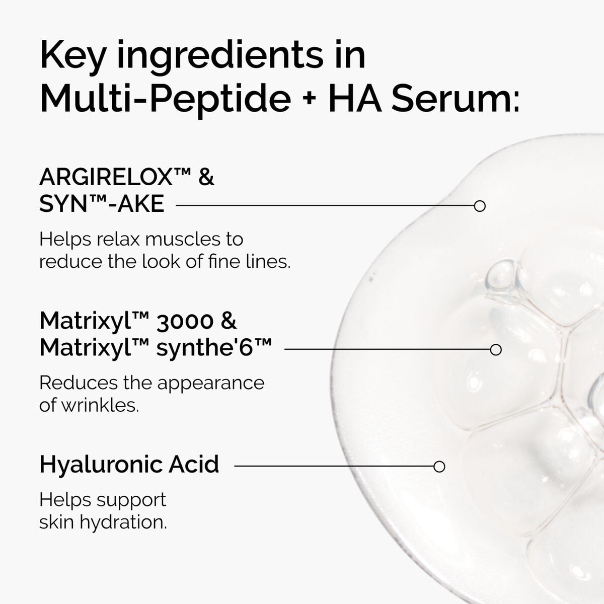 the-age-support-set-b0 ord-multi-peptide-ha-ingredients-graphic.jpg