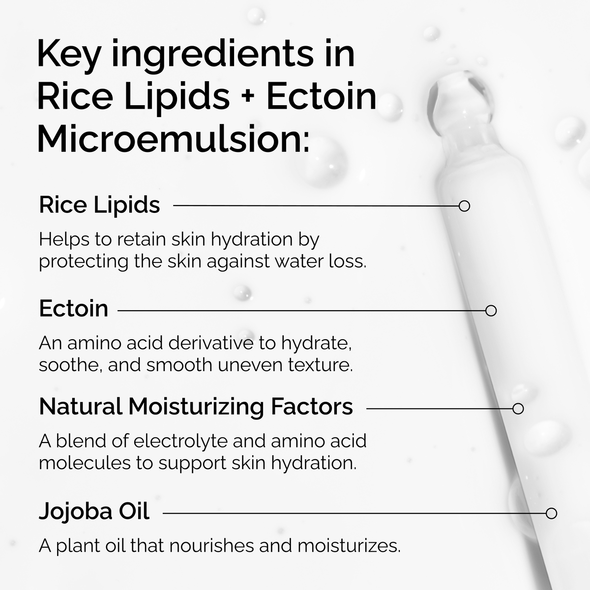rice-lipids-ectoin-microemulsion-h2 ord-rice-lipids-ectoin-microemulsion-key-ingredients.png